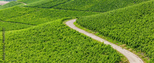 Weinberge im sommer im Fränkischen Steigerwald