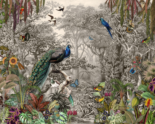 Fototapeta dżungla paw orientalny wzór