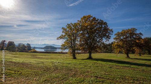 Bäume im Herbst vor einem See