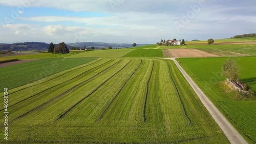 vue sur une région de cultures de maïs en suisse romande depuis un drone volant à basse altitude vers la gauche