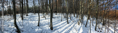 Winter landscape, winter forest trees covered with frost and snow © lightpoet