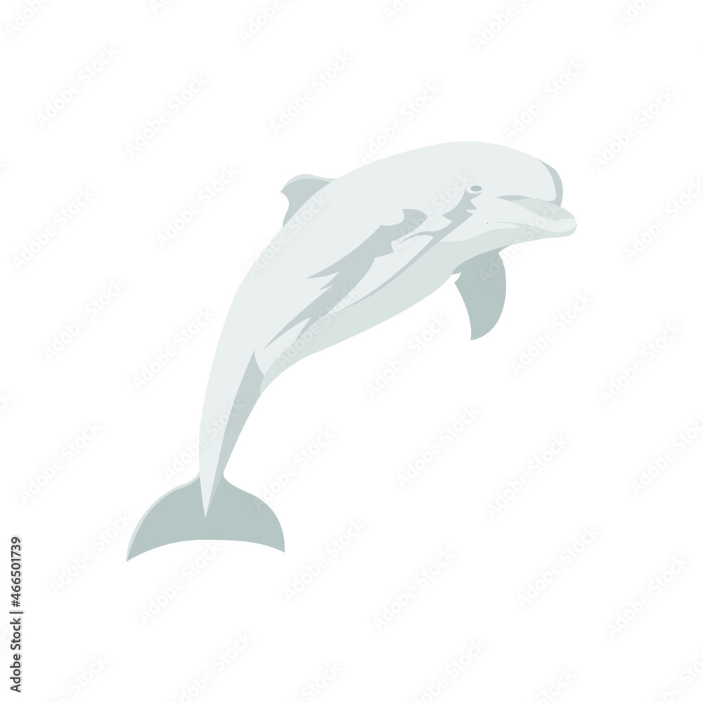 Fototapeta premium Flat Animal Sea Fish Dolphin Vector Design Illustration