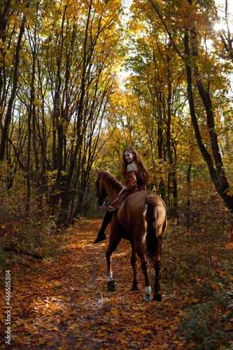 Beautiful cowgirl bareback ride her horse in autumn forest at sunset © horsemen