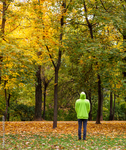 Autumn. Young man stands back looking up to tree in an auntum woodland © Otávio Pires