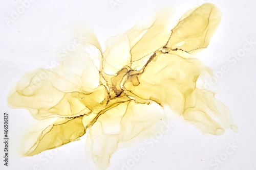 Canvas-taulu Abstract ocher watercolor on white background