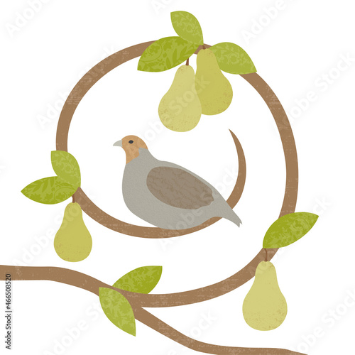 Fotografiet Textured partridge in a pear tree, in a cut paper style