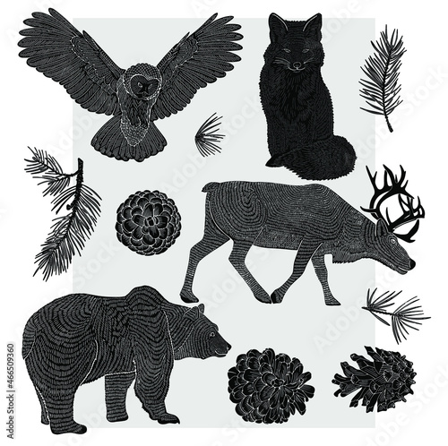Forest animals drawn by line on a gray background. Owl  bear  fox and deer. Suitable for postcards  packaging or textiles.
