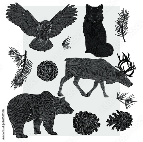 Forest animals drawn by line on a gray background. Owl, bear, fox and deer. Suitable for postcards, packaging or textiles.