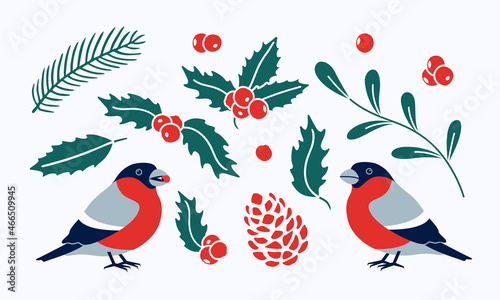 Set with winter holly leaves and berries and bird bullfinch vector illustration isolated