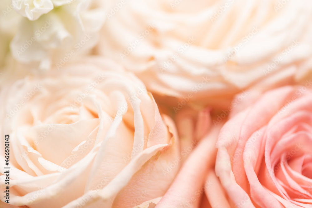 Close up of creamy color roses in bouquet.