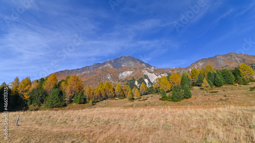 Paesaggio di alta montagna, in ottobre, con larici autunnali colorati di giallo e arancione, intervallati da pini verdi 