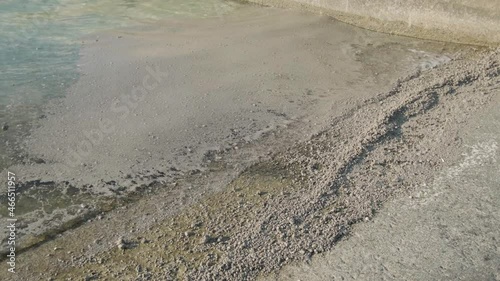沖縄の海(備瀬ビーチ)に漂着する軽石