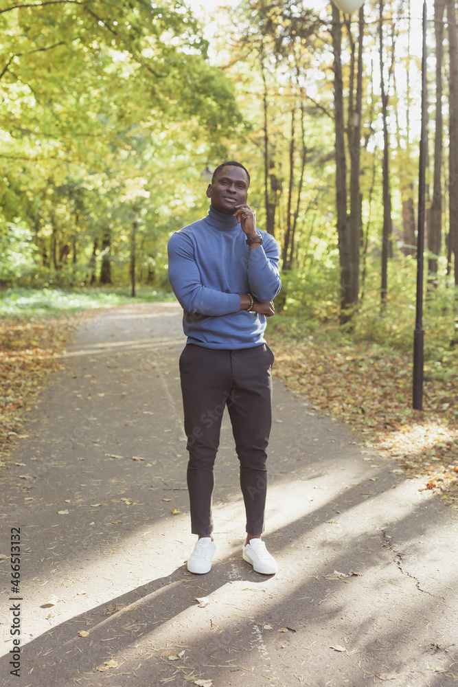 Fototapeta premium African american male student walking in the park