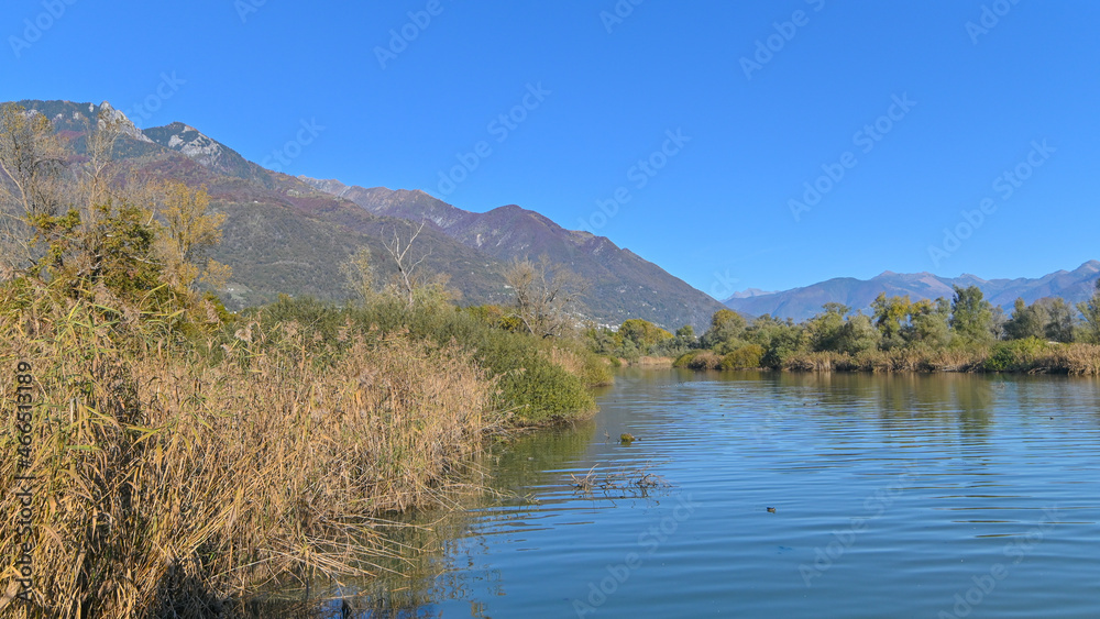Obraz premium Laghetto in mezzo alla palude in ottobre, con cielo blu