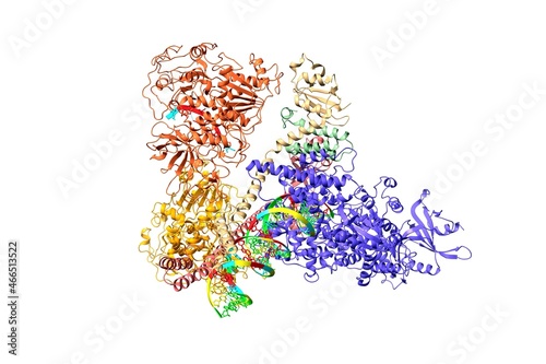 Canvas Print Structure of SARS-CoV-2 mini replication and transcription complex