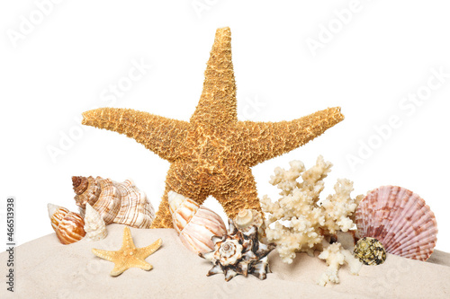 Beautiful starfishes, coral and sea shells in sand on white background