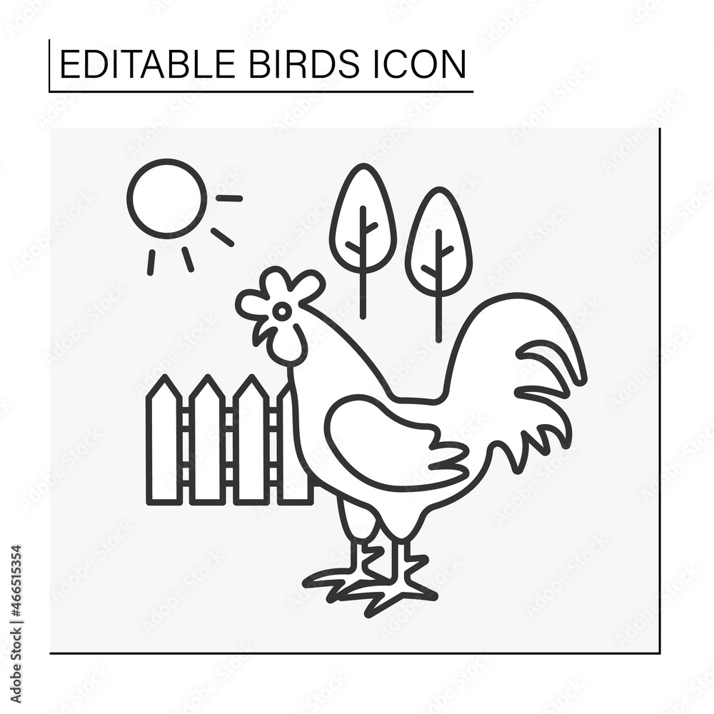 Rooster line icon. Domestic fowl symbolize new day and recreations