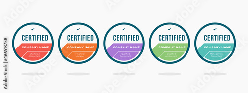 financial badge logo template. certified finance accounting qualifications category. icon design vector illustration