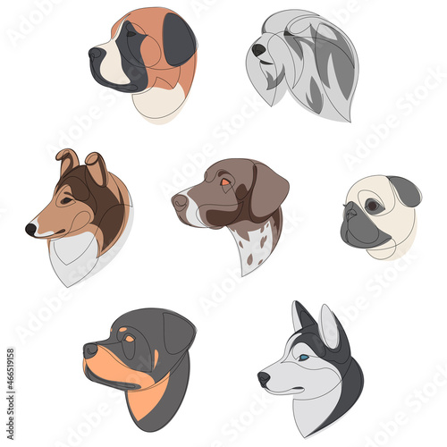 Breeds of dogs drawn in minimal style set. One line dog portrait set. St. Bernard, Old English Sheepdog, Rough Collie, German Shorthaired Pointer, Pug, Rottweiler, Siberian Husky. Vector illustration.