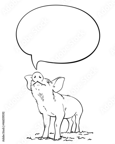 Sketch of pig sniffs speech bubble, Hand drawn vector linear illustration