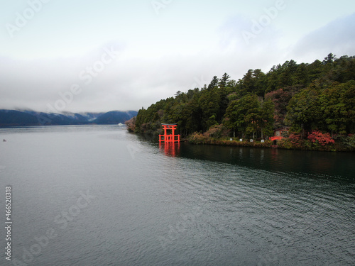 Torii in japan from a bird's eye view