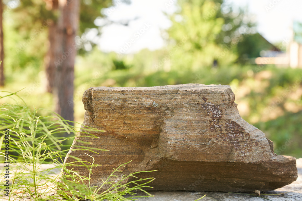 Stone on the background of green plants, the perfect podium for your product, natural background with textured pedestal. High quality photo Stone on the background of green plants, the perfect podium for your product, natural background with textured pedestal. High quality photo