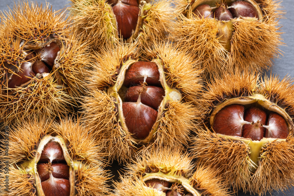Ripe chestnuts close up. Sweet raw chestnuts. Chestnuts with skin. Organic food. Healthy eating. Healthy lifestyle Ripe chestnuts close up. Sweet raw chestnuts. Chestnuts with skin. Organic food. Healthy eating. Healthy lifestyle