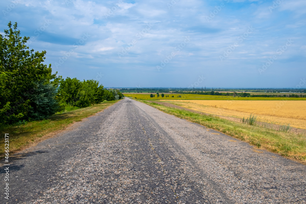 Picturesque rural road. Road through the agricultural heartland of the runs through wheat fields heading to the horizon.