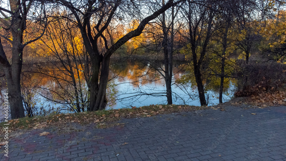 Naklejka premium sunset in winter