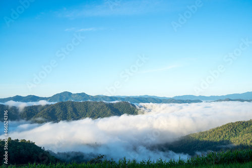 foggy or the clouds while sunrise sky, sea of fog is formed from stratus,Foggy valley mount ridge nature. 