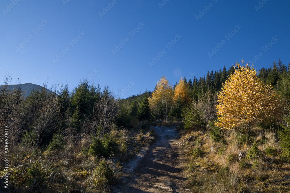 autumn in the Carpathian mountains autumn in the Carpathian mountains