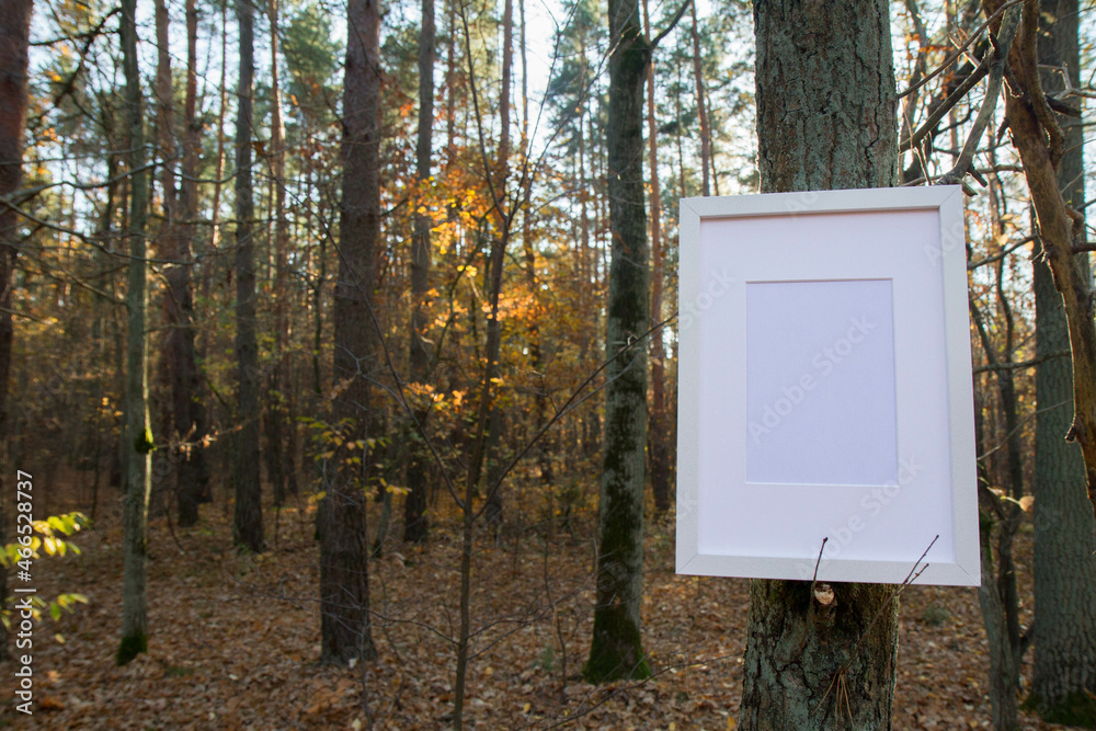 Blank picture frame on a tree among autumn leaves Blank picture frame on a tree among autumn leaves