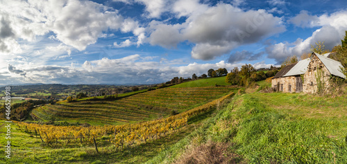 Allassac (Corrèze, France) - La Chartroulle - Vue panoramique des vignobles de la vallée de la Vézère en automne