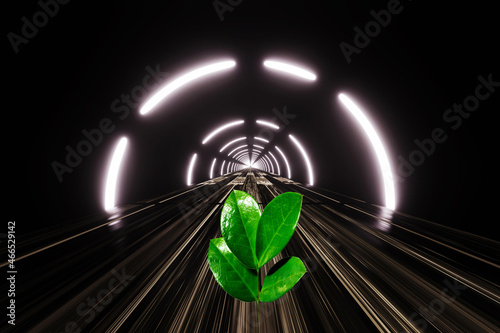 Small young green plant sprout grows through asphalt on high-speed highway. New life, business project concept.