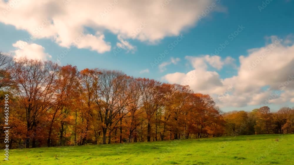 Beautiful autumn day with forest and blue sky, time lapse Beautiful autumn day with forest and blue sky, time lapse