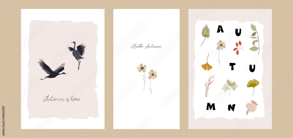 Autumn postcards or greeting cards template collection 