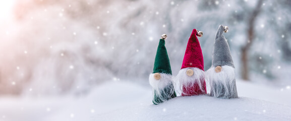 Three cute gnomes in the snowdrift in the winter forest in snowfall.