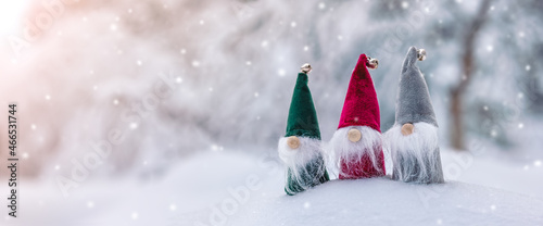 Three cute gnomes in the snowdrift in the winter forest in snowfall. photo