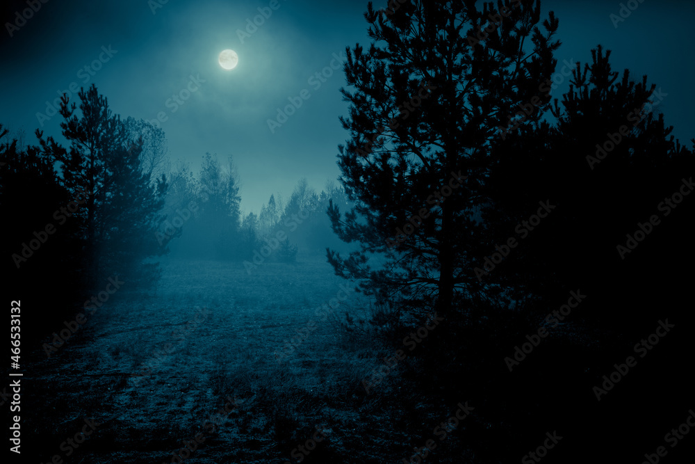 Night mysterious landscape in cold tones - silhouettes of forest trees under the full moon night sky. Halloween backdrop.