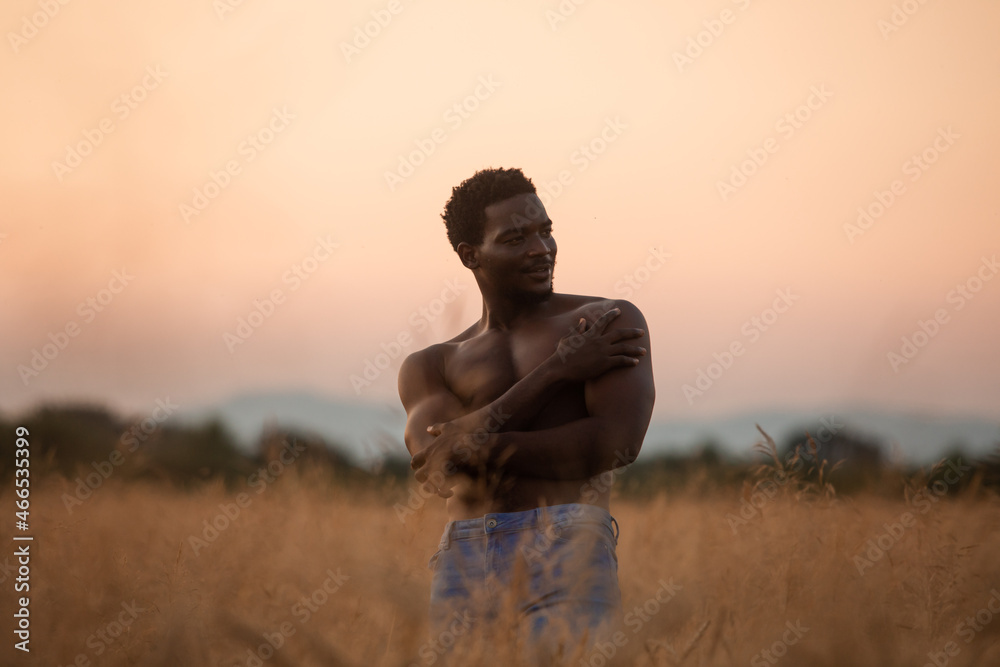 Sexual man posing shirtless in grain field