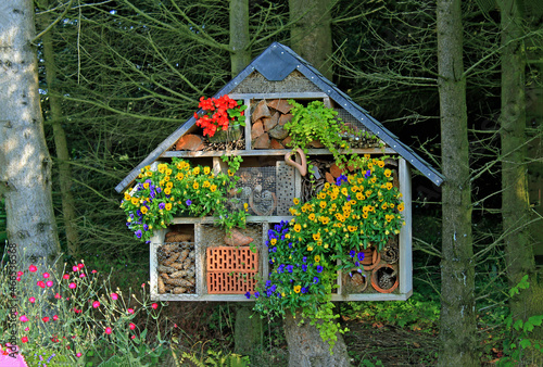 Insektenhotel mit bunten Sommerblumen © Konstanze Junghanns
