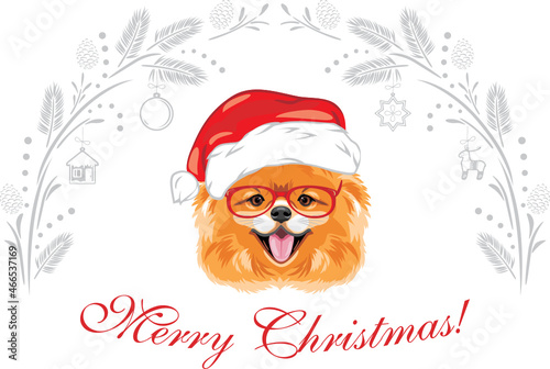 Happy Pomeranian dog wearing eyeglasses and Santa hat. Christmas design for postcard © Nataliia Bielous