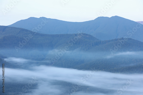 Fototapeta Naklejka Na Ścianę i Meble -  Beautiful view of foggy mountains covered with forest