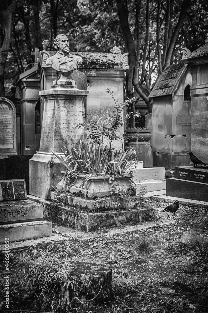 Naklejka premium old cemetery in autumn