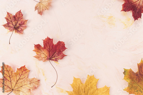 Red and yellow maple leaves on pink background. Autumn flat lay. Banner or message board template. Copy space