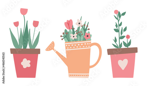 Cute colorful flowers in pots. Nature cartoon vector illustration of flowers and leaves beautiful collection. Blossom plant, botanical flowerpot.