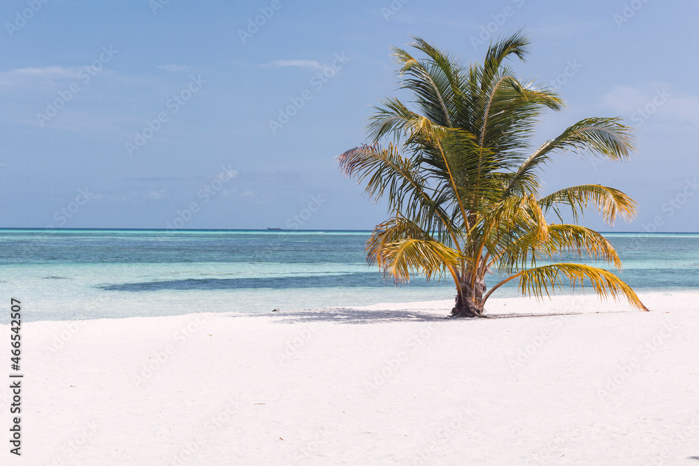 Obraz premium Playa paradisiaca soleada, agua cristalina y cielo azul