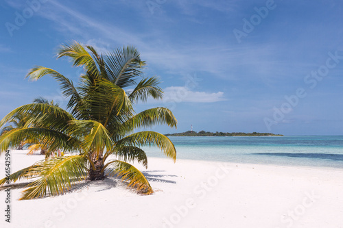 Fototapeta Naklejka Na Ścianę i Meble -  Playa paradisiaca soleada, agua cristalina y cielo azul, isla al fondo