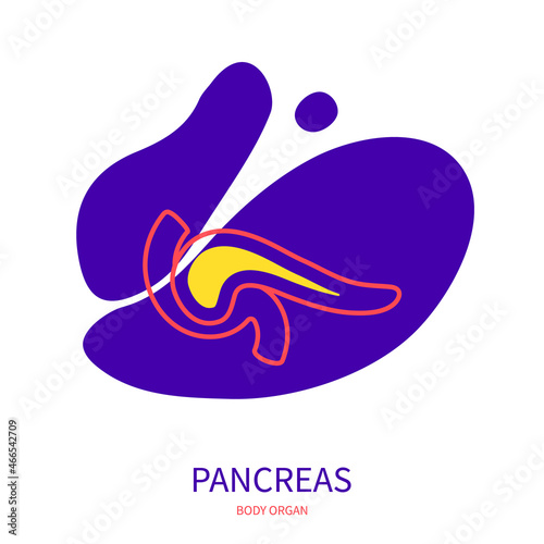 Pancreas diagram of endocrine and digestive system. Body organ outline icon on abstract geometric splash. Human anatomy medical symbol. Vector illustration.