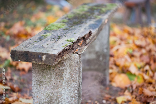 old and destroyed wooden bench with peeling paint, moss and rotten wood